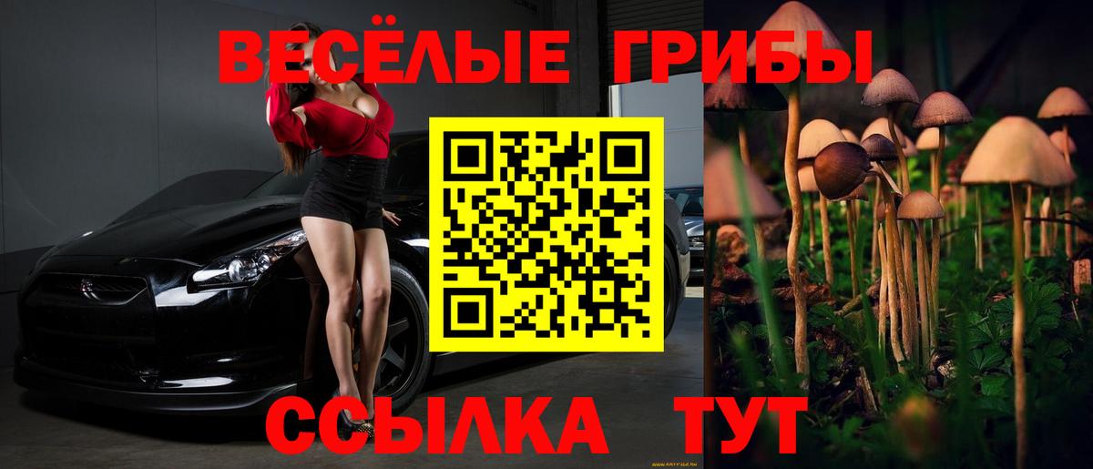 Псилоцибиновые грибы мухоморы  Галлюциногенные грибы Cubensis  Вход с VPN  Ангарск 